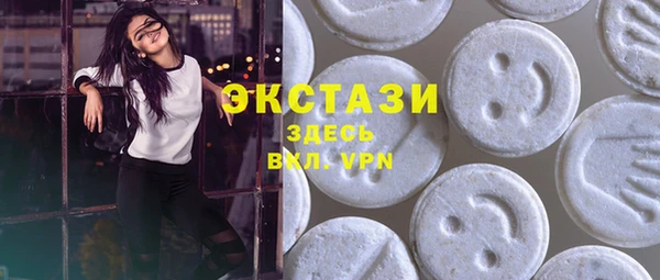 индика Беломорск