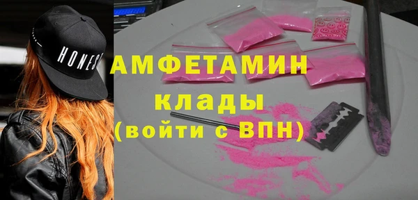 индика Беломорск