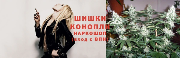a pvp Белокуриха