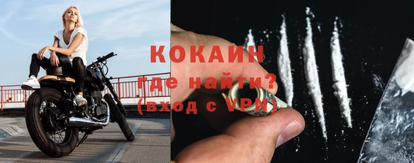 индика Беломорск