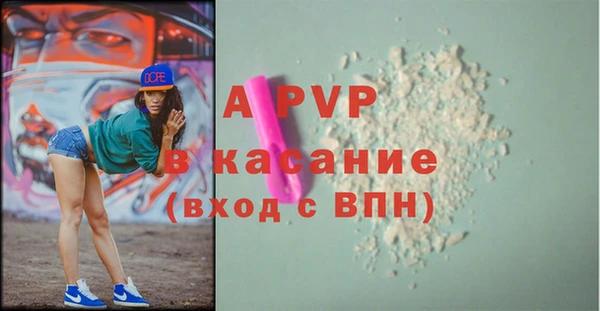 индика Беломорск
