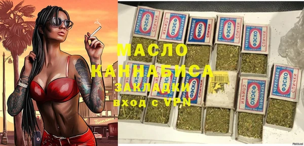 индика Беломорск