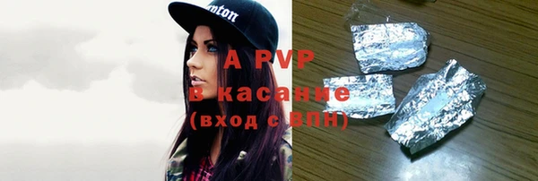 индика Беломорск