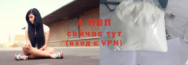 индика Беломорск