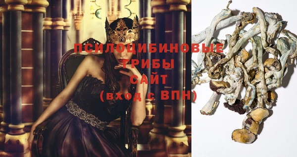 индика Беломорск