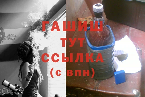 индика Беломорск