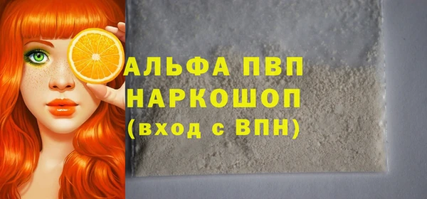 индика Беломорск