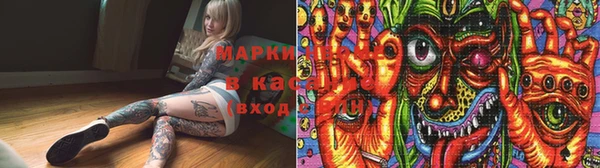 индика Беломорск
