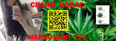 стаф Бугуруслан