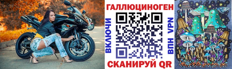 Галлюциногенные грибы Cubensis Гудермес