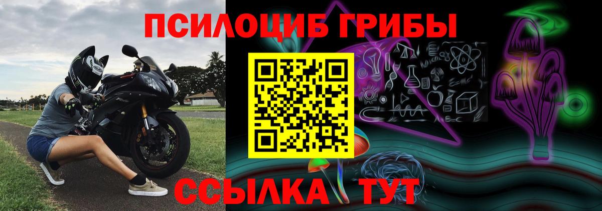Псилоцибиновые грибы ЛСД  Вход с VPN  Гудермес 