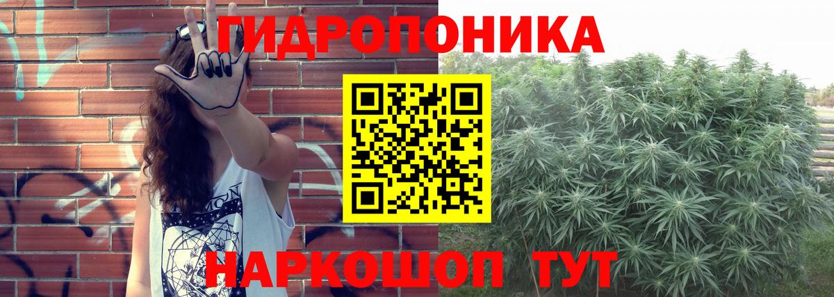 Марихуана гибрид  Каннабис планчик  Вход с VPN  Каннабис конопля  Каннабис OG Kush  Гудермес 